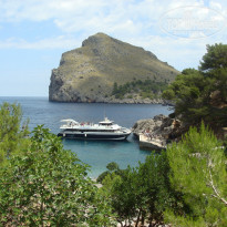 фото из отзыва ID 984286