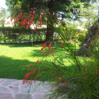 фото из отзыва ID 984600