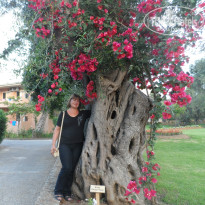 фото из отзыва ID 984600