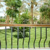 фото из отзыва ID 984681