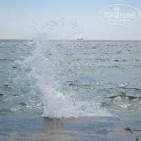 фото из отзыва ID 984946