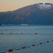 фото из отзыва ID 984126