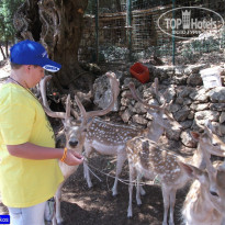 фото из отзыва ID 984050