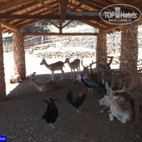 фото из отзыва ID 984050