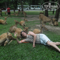 фото из отзыва ID 985104