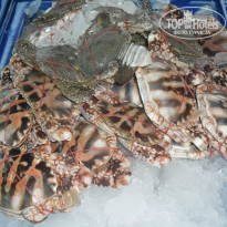 фото из отзыва ID 985104