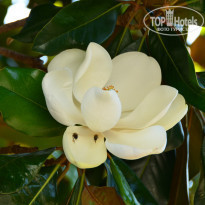 фото из отзыва ID 985317