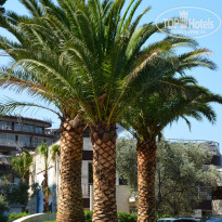 фото из отзыва ID 985317