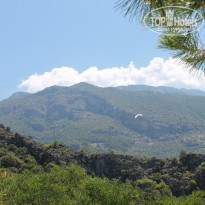 фото из отзыва ID 985350