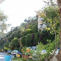 фото из отзыва ID 985350