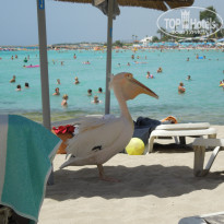 фото из отзыва ID 985430