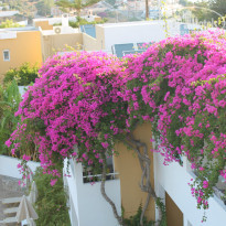 фото из отзыва ID 985438