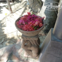 фото из отзыва ID 985700