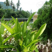 фото из отзыва ID 985700