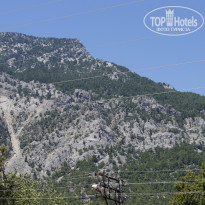 фото из отзыва ID 985725