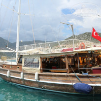 фото из отзыва ID 985779