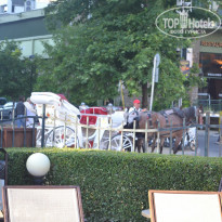 фото из отзыва ID 985867