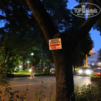 фото из отзыва ID 985889