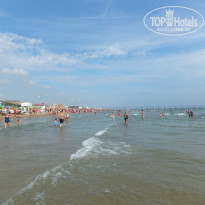 фото из отзыва ID 985935