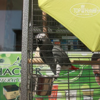 фото из отзыва ID 985854