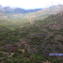 фото из отзыва ID 986359