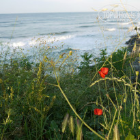 фото из отзыва ID 986884