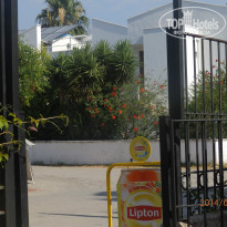 фото из отзыва ID 986918