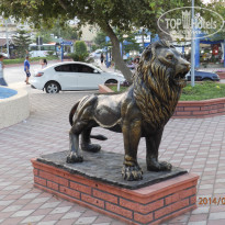 фото из отзыва ID 986918