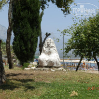 фото из отзыва ID 986918