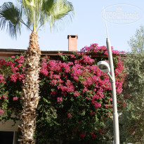 фото из отзыва ID 986918