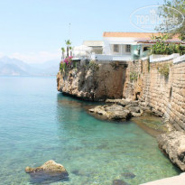 фото из отзыва ID 986972