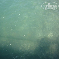 фото из отзыва ID 987104