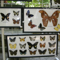 фото из отзыва ID 987156