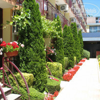 фото из отзыва ID 987478