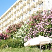 фото из отзыва ID 987629