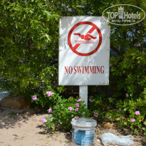 фото из отзыва ID 987659