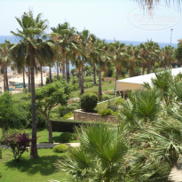 фото из отзыва ID 987906