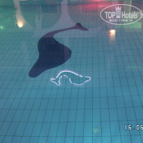 фото из отзыва ID 987301