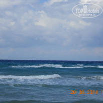 фото из отзыва ID 987301