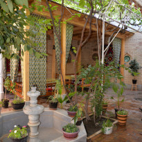 фото из отзыва ID 987599