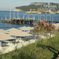 фото из отзыва ID 988071