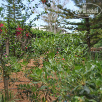 фото из отзыва ID 988316