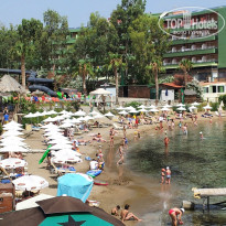 фото из отзыва ID 988357