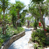 фото из отзыва ID 988501