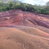 фото из отзыва ID 988468