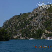 фото из отзыва ID 988636