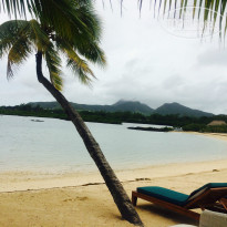 фото из отзыва ID 988779