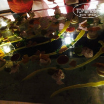 фото из отзыва ID 988779