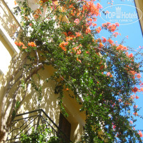 фото из отзыва ID 988854