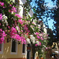 фото из отзыва ID 988854